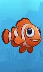 Fish Road