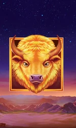 Buffalo's Sun 2